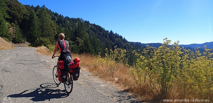 Mit dem Fahrrad über Mattole Road von der Lost Coast zu den Redwoods
