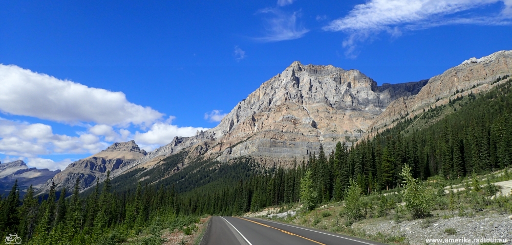 Cycling from Columbia Icefield via Saskatchewan River Crossing to Lake Louise.  Icefields Parkway by bicycle.
