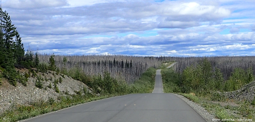 British Columbia and Yukon by bicycle: Cycling the Cassiar Highway northbound. Stage from Jade City to Nugget City on the Alaska Highway. 