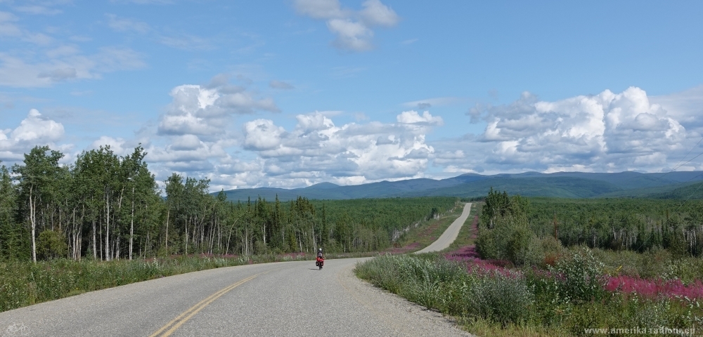 Mit dem Fahrrad über den Klondike Highway von Whitehorse nach Dawson City. 
