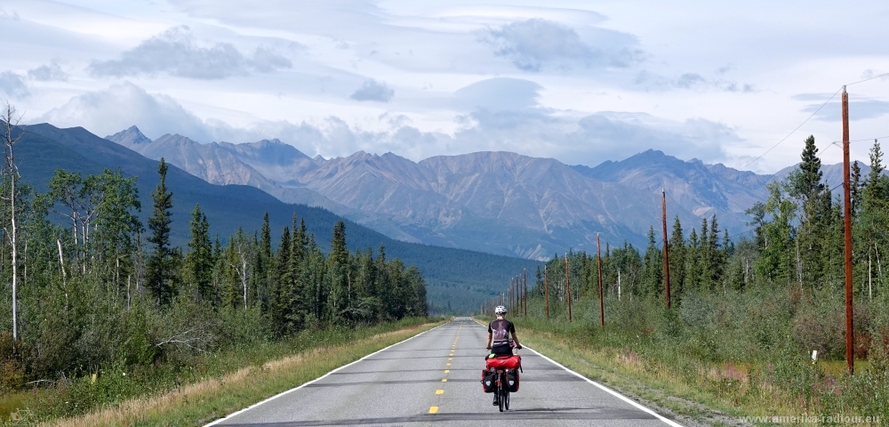 Cycling the Alaska Highway northbound to Delta Junction.   