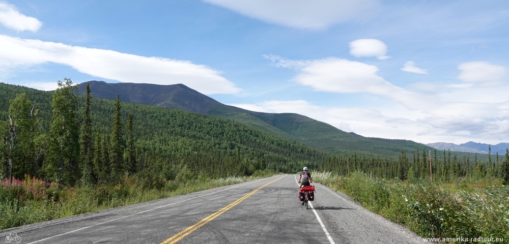 Cycling the Alaska Highway northbound to Delta Junction    