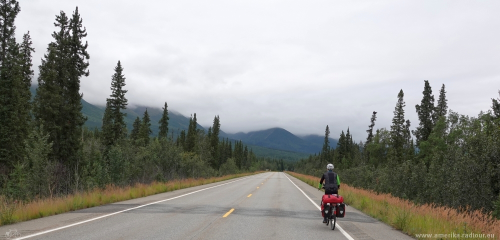 Cycling to Delta Junction following the Alaska Highway northbound.  