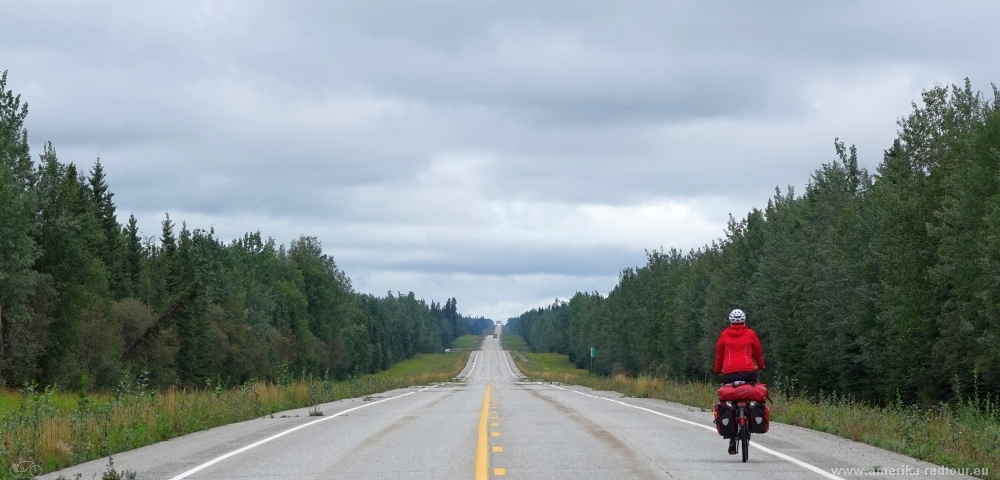 Cycling Alaska Highway northbound to Delta Junction.  