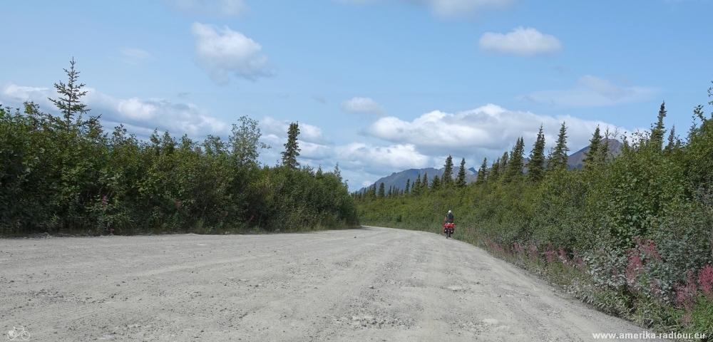 Cycling Denali Highway from Maclaren River to Cöearwater Lodge.  