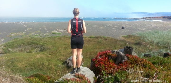 Auf dem Fahrrad dem Shoreline Highway entlang durch Kalifornien. Pazifikküste, Nebel und Mammutbäume