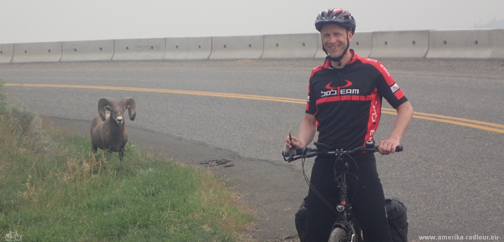 Mit dem Fahrrad von Salmon Arm nach Kamloops. Radtour über den Trans Canada Highway.