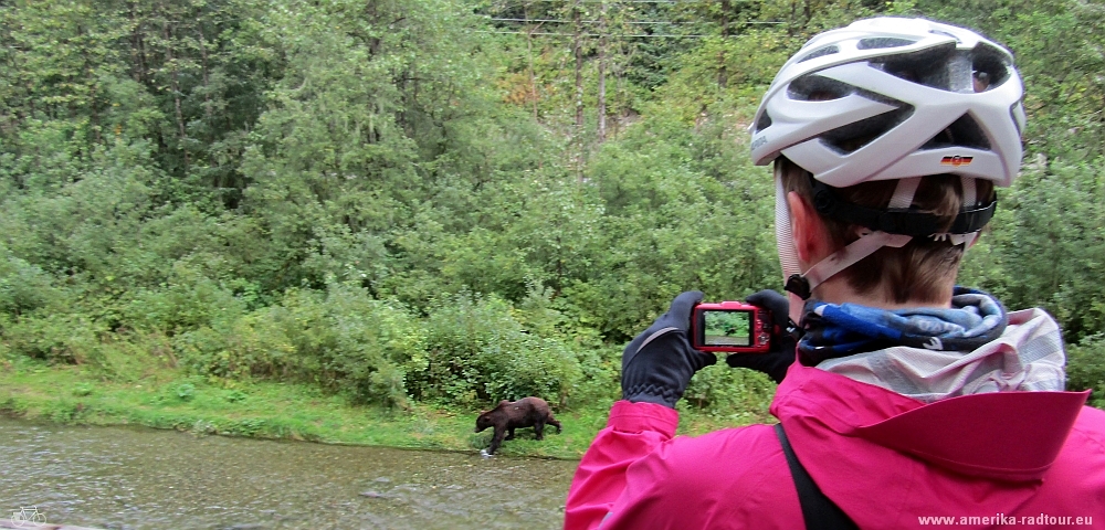 British Columbia and Yukon by bicycle: Cycling the Cassiar Highway northbound visiting Stewart and Hyder, Alaska.  