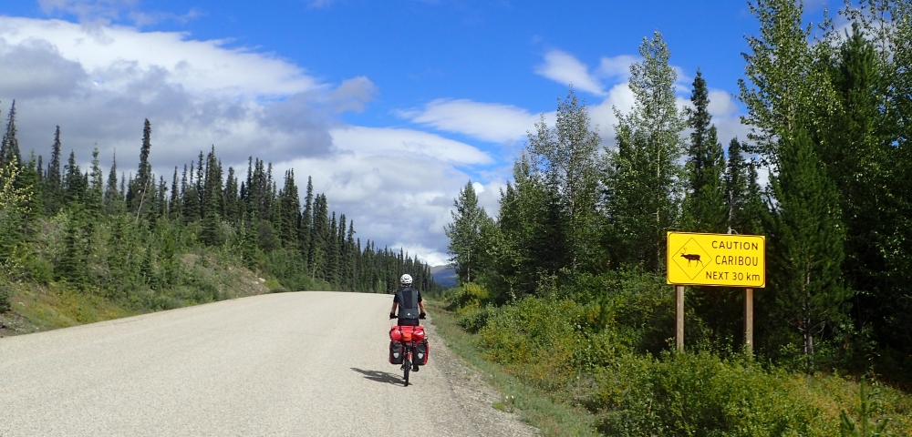 Radtour über den Cassiar Highway: Mit dem Fahrrad von der Red Goat Lodge nach Dease Lake. 