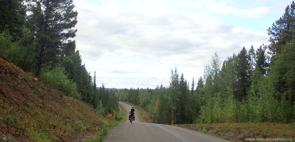 Mit dem Fahrrad von Smithers nach Whitehorse. Radtour über den Yellowhead Highway und Cassiar Highway. Etappe Red Goat Lodge - Dease Lake entlang des Cassiar Highways  