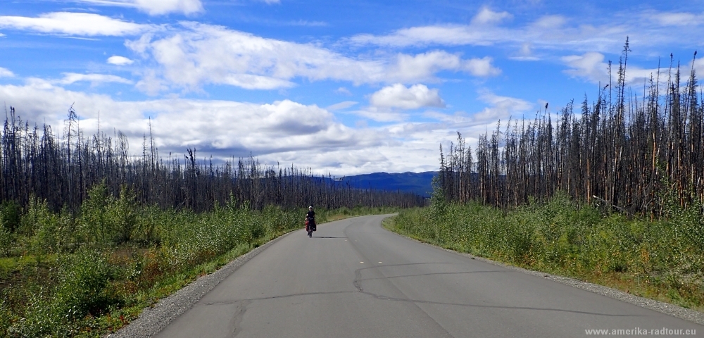 British Columbia and Yukon by bicycle: Cycling the Cassiar Highway northbound. Stage from Jade City to Nugget City on the Alaska Highway. 