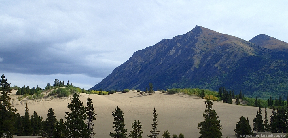 Carcross Desert 