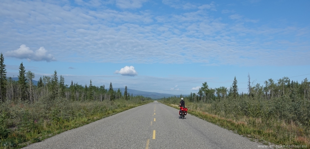 Mit dem Fahrrad über den Klondike Highway von Whitehorse nach Dawson City.  