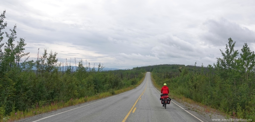 Mit dem Fahrrad von Chicken zum West Fork Campground über den Taylor Highway.  